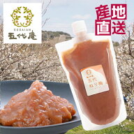 【マラソン期間限定5～10％OFFクーポン配布中】ねり梅 【 はちみつ 五代ねり梅 350g スタンドパックパウ…