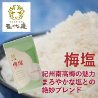 【マラソン期間限定5～10％OFFクーポン配布中】調味料 塩 【 梅塩 260g 袋 】 しお 成分 ソルト しおり …