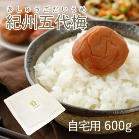 梅干し 自宅用【 はちみつ梅干し 紀州五代梅 600g プラ容器 塩分 10% 】 梅干 紀州 ギフト 南高梅 お歳暮 お中元 はちみつ 紀州南高梅 安心 お菓子 大量 保存容器 日本一 はちみつ漬け 香典返し 大容量 和歌山 五代庵