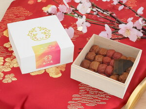 ~ Mtg y ~O ݂͂~EД~EԔ~ ؔ  10% 11% 13% z ~ IB 썂~ Ε ݂͂ IB썂~ z a̎R  h Hה  ܑ