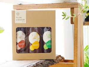 ~  Mtg y񂹃L[ ZNg 300 ml 3{ ~ 18x ~ 12x Mq~ 12x r ϔ z  Zbg   썂~  v[g  n