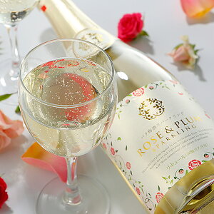 Mtg  ~ y  o~ Xp[NO 720 ml r ϔ AR[ 13x z Mtg Zbg   썂~  v[g    n r Ε a̎R 