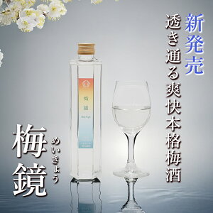 y}\芄N[|zzIz~ y~ ߂傤 300 ml AR[ 18x z Mtg  r 썂~  v[g   n r a̎R  {i Ȃ ܑ