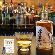 【マラソン期間限定5～10％OFFクーポン配布中】梅酒品評会金賞受賞 ギフト 高級 梅酒 【 ブランデー梅酒 …