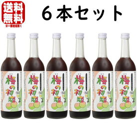 梅シロップ 梅の初恋 6本フルリニューアル 送料無料 送料込み 和歌山県 紀州 中野BC シロップ うめシロップ 割材 割り材 酎ハイ サワー カクテル ノンアルコール ソフトドリンク お買い物マラソン 店内最大ポイント10倍