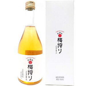 ~Vbv ~ 490mlΐ_W ߂ڂ a̎R IB Vbv ߃Vbv ߗp~hN nC T[   JNe mAR[ \tghN Mtg v[g