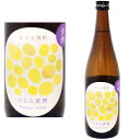 鶴見 黄麹 25度 720ml 2026年発売分 限定生産 数量限定 芋焼酎 つるみ黄麹 大石酒造 鹿児島県 ギフト プレゼント