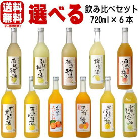 和歌のめぐみ 選べる福袋 720ml 6本南部の梅酒 龍神の柚子酒 有田の八朔酒 有田の甘夏酒 有田のみかん酒 レモン酒 桃山の桃酒 完熟にごり梅酒 じゃばら酒 マンゴー梅酒 パイン酒上記からお好きな商品をお選びください。