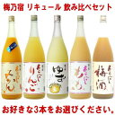 梅乃宿 リキュール 1800ml 3本 選べる 飲み比べセットあらごし梅酒 ゆず酒 あらごしもも あらごしみかん あらごしりんごから3本お選びください。【送料無...