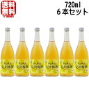 香る南高 紀州梅酒 14度 720ml 6本 中野梅酒 送料無料 梅酒 紀州 紀州梅酒 本格梅酒 中野BC 和歌山県