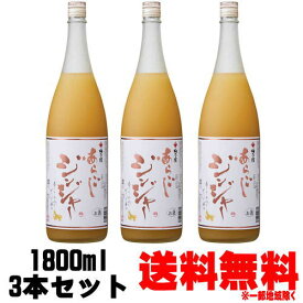 梅乃宿 あらごしジンジャー 15度 1800ml 3本送料無料 送料込み リキュール うめのやど 梅の宿 スパイシー ドライジンジャー ジンジャー酒 辛口 奈良県 梅乃宿酒造 ギフト プレゼント お買い物マラソン 店内最大ポイント10倍