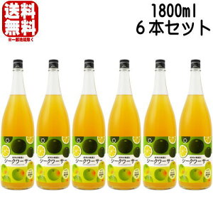 yj[AzIB̔~ƃV[N[T[ 12x 1800ml 6{Zbg IB̃V[N@[T[~ V[N[T[ ~ IB IB~ JNe~ BC a̎R Mtg v[g