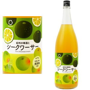 yj[AzIB̔~ƃV[N[T[ 12x 1800ml IB̃V[N@[T[~ V[N[T[ ~ IB IB~ JNe~ BC a̎R Mtg v[g