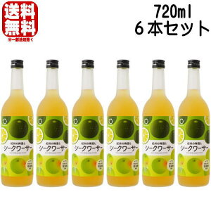 yj[AzIB̔~ƃV[N[T[ 12x 720ml 6{Zbg IB̃V[N@[T[~ V[N[T[ ~ IB IB~ JNe~ BC a̎R Mtg v[g