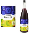 【リニューアル】紀州の梅酒とブルーベリー 12度 1800ml 紀州のブルーベリー梅酒 梅酒 紀州 紀州梅酒 カクテル梅酒 中野BC 和歌山県 ギフト プレゼント
