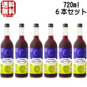 紀州の梅酒とブルーベリー 12度 720ml 6本セット 紀州のブルーベリー梅酒 梅酒 紀州 紀州梅酒 カクテル梅酒 中野BC 和歌山県 ギフト プレゼント