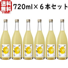 和歌のめぐみ 龍神の柚子酒 極 スパークリング 720ml 6本【送料無料】【梅酒】【和リキュール】【スパークリング】【紀州】【りゅうじん】【ゆず酒】【ゆず】【柚子】【世界一統】【和歌の恵み】 お買い物マラソン 店内最大ポイント10倍