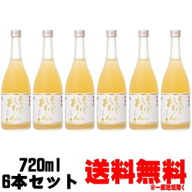 【れもん酒】梅乃宿 あらごしれもん 10度 720ml 6本送料無料 送料込み リキュール うめのやど 梅の宿 レモン酒 檸檬酒 奈良県 梅乃宿酒造 お買い物マラソン 店内最大ポイント10倍