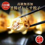 無添加 しらす餃子 たっぷり100個！ 自社工場直送｜常陸乃國しらす使用 ふんわり食感 冷凍餃子 大容量 お…