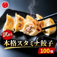お買い得！訳アリ品 スタミナ餃子100個入り | 国産野菜のみ使用 生姜 にんにく 肉汁たっぷり ぎょうざ ギ…