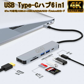 USB ハブ Type-C ハブ 6in1 60W PD給電 HDMI 4K USB3.0 USB2.0 マイクロSDカード SDカードリーダー タイプCデバイ 変換アダプタ 急速充電 Android Nintendo Switch