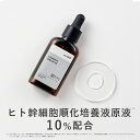 KISO CARE ヒト幹細胞順化培養液原液 10％配合 美容液 キソ ステムセルフセラム 30ml 国産 植物幹細胞 プロテオグリカン コラーゲン ヒアルロン酸 CICA シカ ツボクサ 乾燥 年齢サイン キメ エッセンス 送料無料