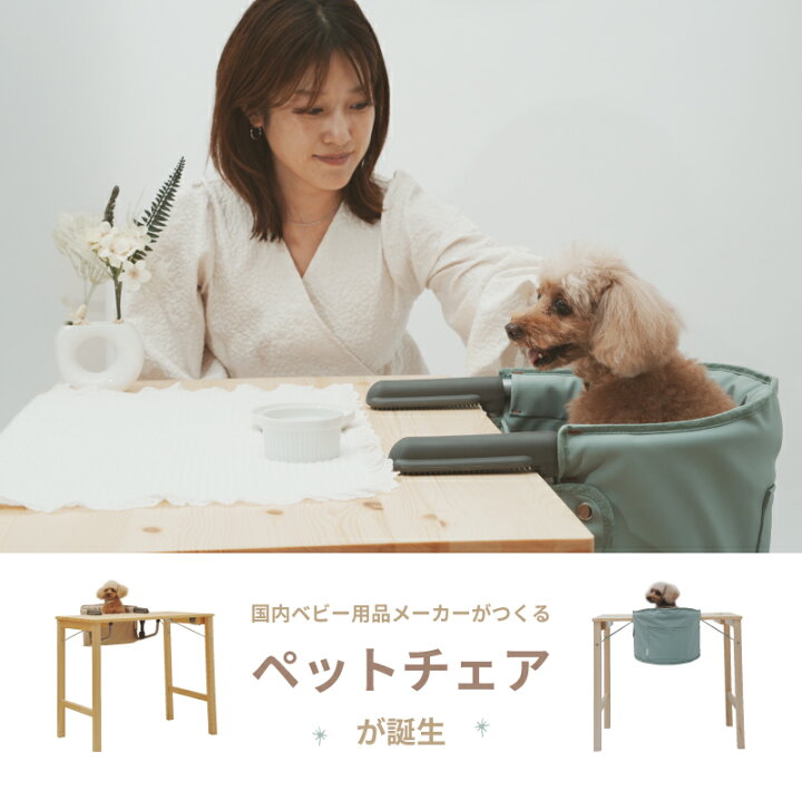 楽天市場】ペットチェア ペット用チェア ダイニングチェア テーブル 