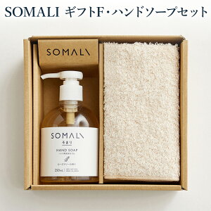 ySOMALIi\}jMtgF nh\[vZbgzؑΌ ΂ nh\[v Zbg 蔧 Ƃ nhp t̐΂ I[KjbNRbg ^I VR[Y}[ nh^I