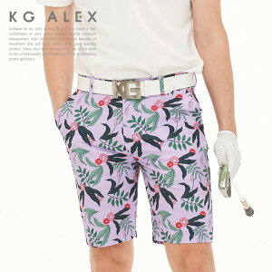 1980~(ō)ψ/ St Y n[t pc  n[p / XgCv×{^jJt[n[tpc / EGXg̊~ߋ@\t / KG-ALEX StEFA Y M-XL YEFA M