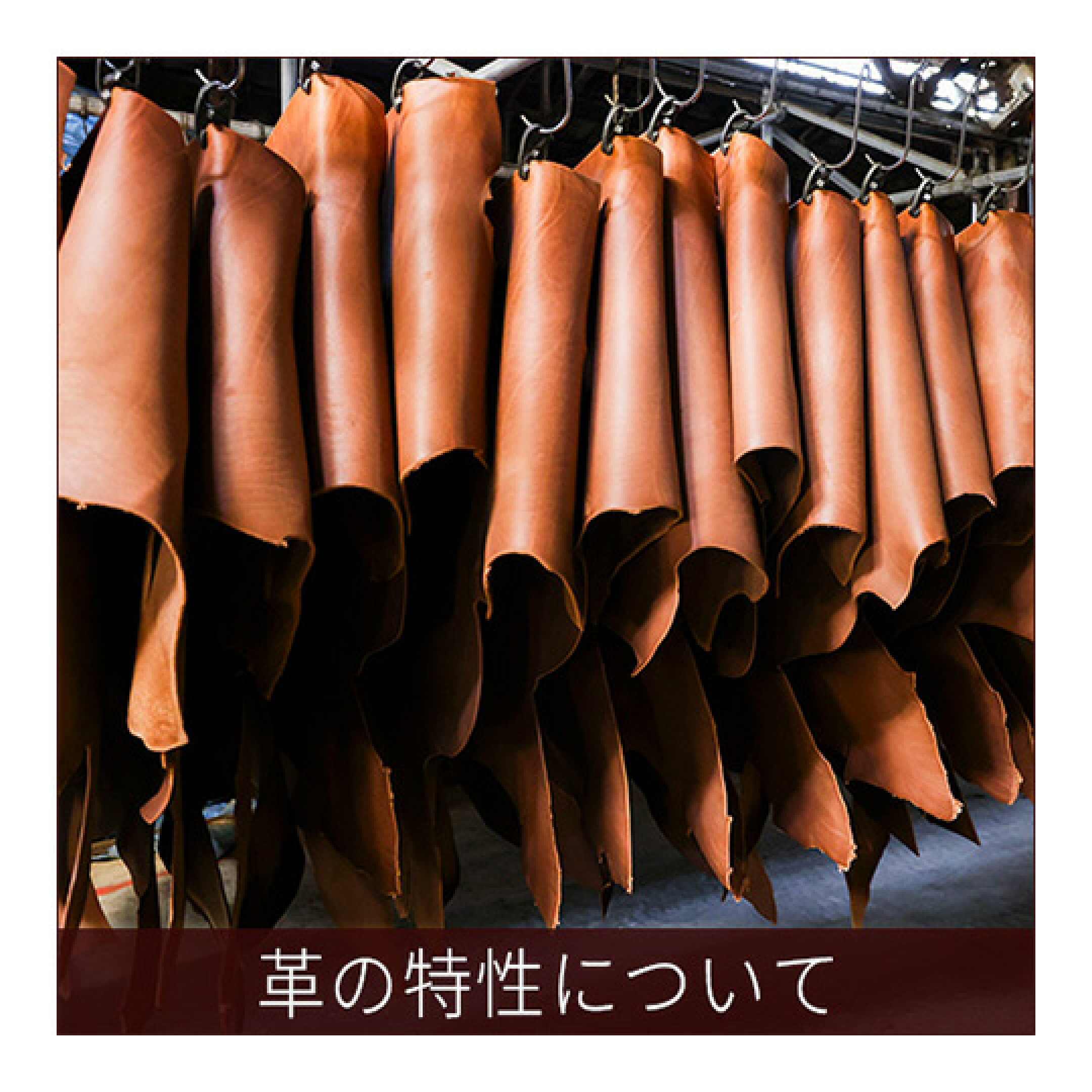 革について