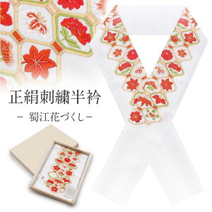   hJ U l  F 再]ԂÂ  K⒅ 瑕  {˔  uC_ C l Ǝ K⒅  a  tH[} ͂񂦂  