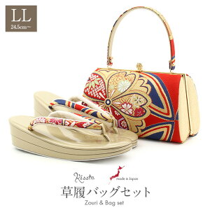 yN[|pōő10OFF!zslIt obOZbg l Up ƌ lp LLTCY   ؖ  ђn 2c Dԏ 傫TCY  I { ɂȂ 