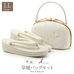 obOZbg ѐD  瑕p LLTCY 傫TCY Vo[   ؕH wD { ɂȂ  F 瑕p tH[}    obN obN