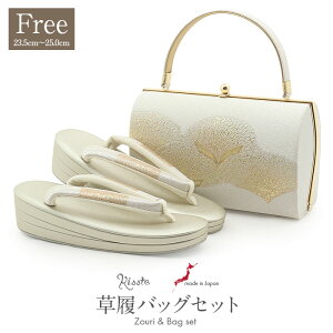 y20,900~IZ[zobOZbg p K⒅p obO ׍H t[TCY LTCY Vo[ VpS[h    Dn 23c { ɂȂ  