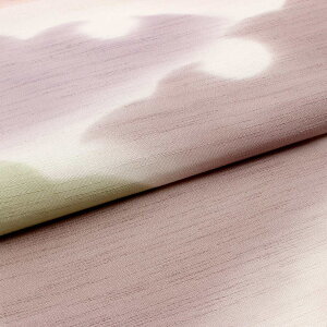 їg     D K F S5F ip  JWA   VN Of[V ƂȃJ[ ݃J[ jAX aF ڂ { т  a t 