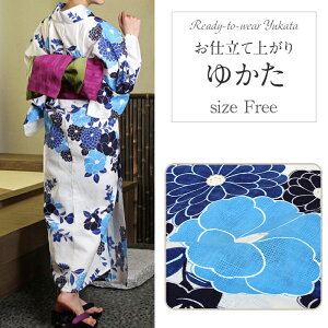 yN[|pōő10OFF!z Pi p ×F  eȖ  䂩 g 킢 L[g VbN l _  ÓT  fB[X  ԉ Ղ  20 30