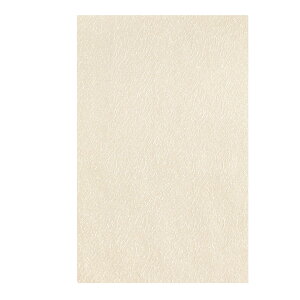 yN[|pōő10OFF!zїg   S2F 瑕p tH[} Z~tH[} [ufRe   VN т  a t їg т I[ 瑕  