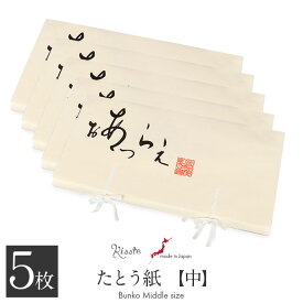 たとう紙 帯 帯用 窓なし 文庫 5枚 セット 和紙 中 65cm 帯 長襦袢 浴衣 羽織 七五三お衣装 おあつらえ 日本製 たとうし たとうがみ 畳紙 畳み紙 帖紙 多当紙 キモノ文庫 四つ手 薄紙付き 折らずに発送