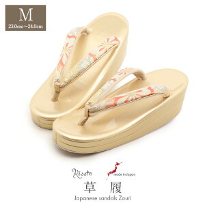  l Up lp fB[X ؎O MTCY S[h  ԕ ђn  2c { ɂȂ ₷  U ƌ U葳 }}U  ͂    