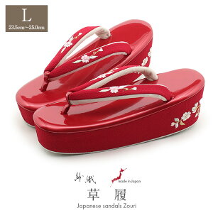  l Up lp fB[X D LTCY bh   Gi ߂񐶒n hJ 1c nCq[ { ɂȂ ₷  U ƌ U葳 }}U  ͂