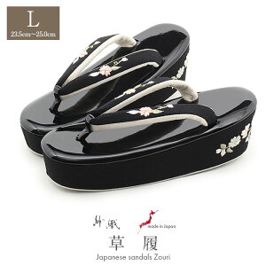 y11500~IZ[z l Up lp fB[X D LTCY ubN   Gi ߂񐶒n hJ 1c nCq[ { ɂȂ ₷  U ƌ U