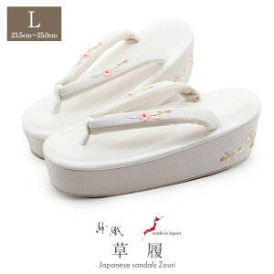 y11500~IZ[z l Up lp fB[X D LTCY zCg   Gi ߂񐶒n hJ 1c nCq[ { ɂȂ ₷  U ƌ U