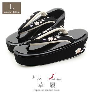 y11500~IZ[z l Up lp fB[X D LTCY ubN   Gi ߂񐶒n hJ 1c nCq[ { ɂȂ ₷  U ƌ U