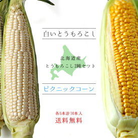楽天市場 白い とうもろこし 種の通販