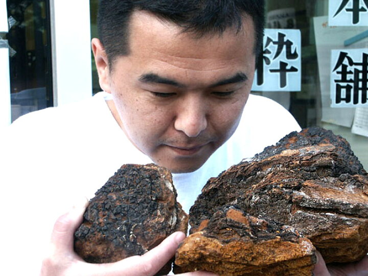 楽天市場】カバノアナタケ茶塊≪原体≫2.1kg【700g×3袋セット】≪業務 