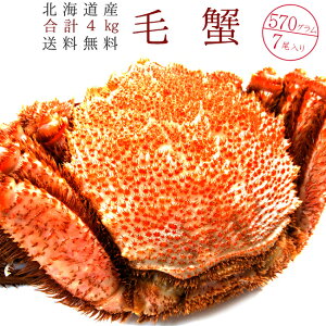 ъI570g×7y4kgzkC т7ZbgykCYъIz{CPKjyⓀуKjzIXō̃Jj OI1̂ɁyW{ъI@тɁzMtg 蕨ɂ