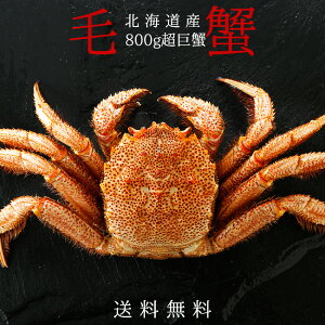 ъI800gO×1 kC т1tykCYъIz{CPKjyⓀуKjzIXō̃Jj OI1̂ɁyW{ъI@тɁz傫̂ŐHׂ₷y