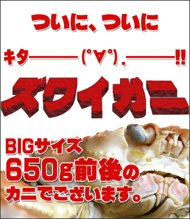 楽天市場 ズワイガニ650g前後 ずわい蟹姿 激安 訳ありではありません ずわい蟹 大型のズワイがに 数量限定のカニ かにの 女王ズワイ蟹 別名松葉ガニ 上品な蟹の身とカニ味噌 麺本舗吉粋 楽天支店