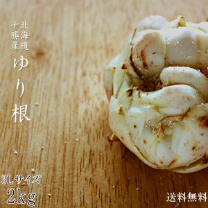 荪3LTCY2kgykC\YˁzʒE莺yقǂ~̖ Sz yVՂ Ƃ q T_zzNzNH Â yzA