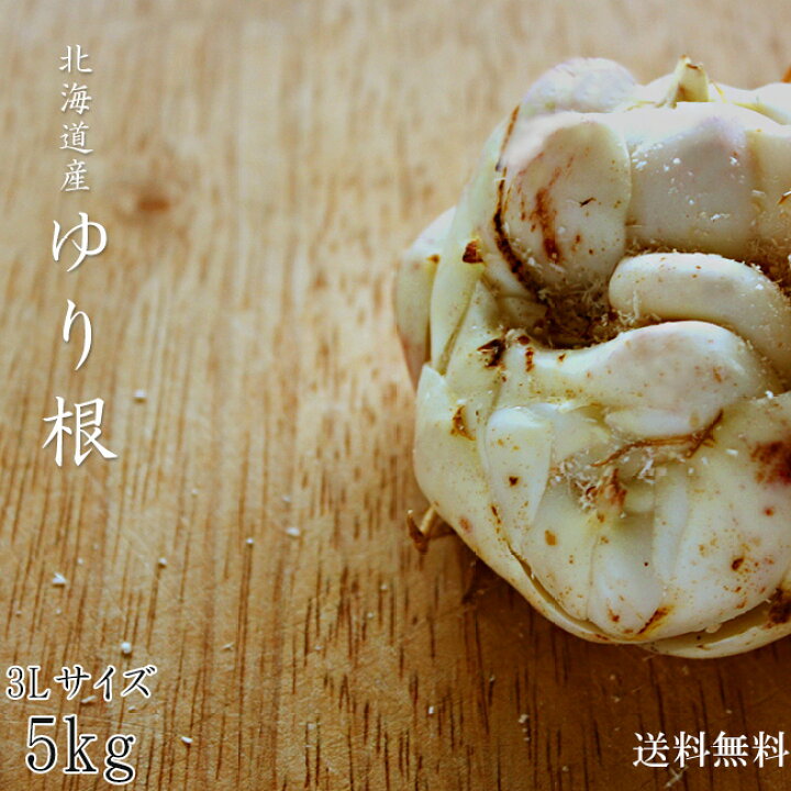 2024年度産 ゆり根 規格外品 3L5キロ3箱 （百合根（ゆりね）』北海道産 